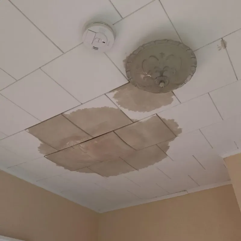 Ceiling Water Damage Repair in Dawson County, NE
