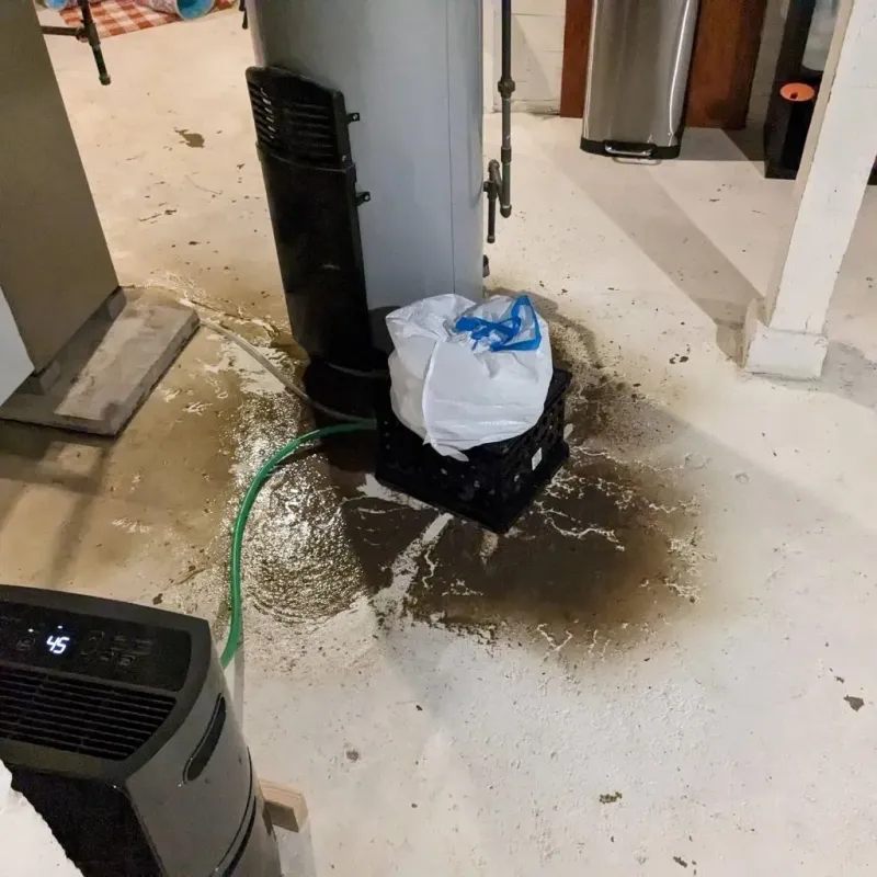 Sewage Backup Cleanup Service in Dawson County, NE
